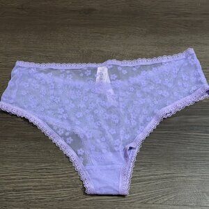 Cheeky Lacy Mesh Brief Panties